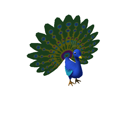 M_Peacock Variant